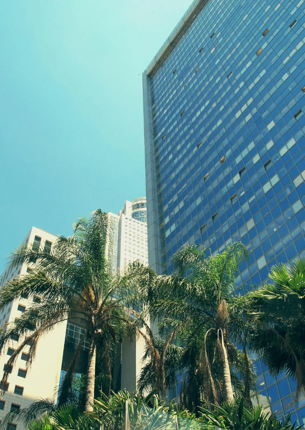 Dominica is known internationally for its high quality in the field of finance. 